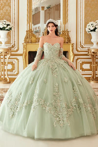 Sage Layered Tulle Ball Gown With Floral Applique