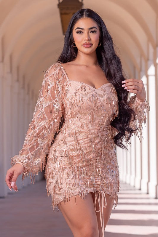 Champagne Sequin Sparkly Fringe Mini Dress Aquarius Brand Champagne Sequin Sparkly Fringe Mini Dress Aquarius Brand