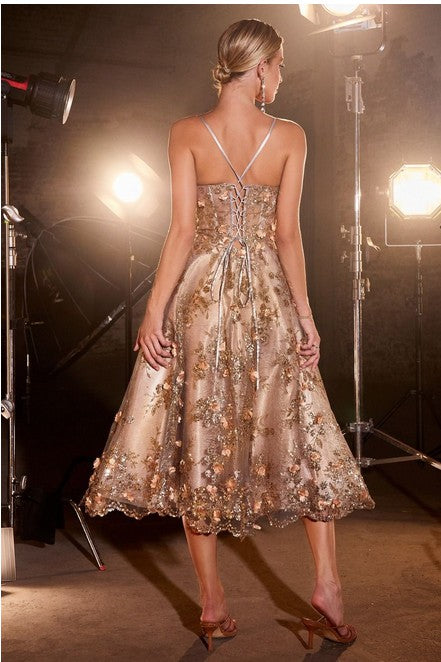 Gold Mist Floral Applique Tea Length Dress – Aquarius Brand