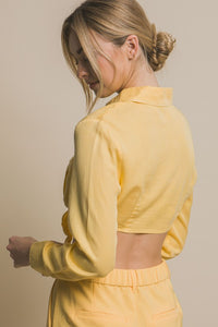 Pineapple Long Sleeve Cropped Top with Front Tie Design