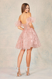 Rose Gold Embroidered Corset Tulle Short Dress