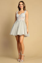 Silver Embroidered Short Sheer Corset A-Line Dress