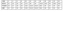 Fuchsia Lace Up Corset Glitter Ball Gown