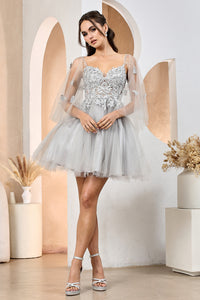 Silver Tulle Embroidered Short Princess Dress