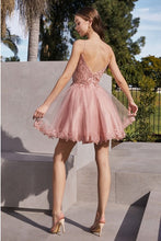 Blush Short A-Line Lace & Tulle Dress