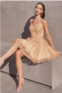 Champagne Short A-Line Lace & Tulle Dress