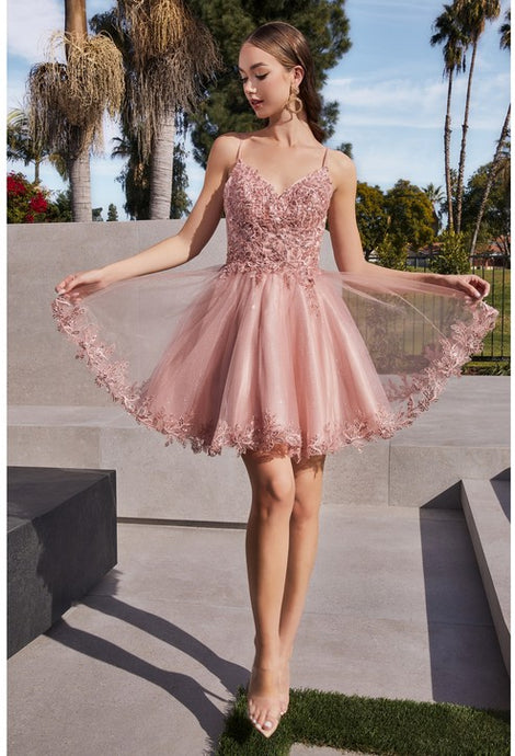 Blush Short A-Line Lace & Tulle Dress