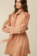Dusty Rose Tie Neck Ruffle Button down Chiffon Dress