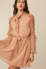 Dusty Rose Tie Neck Ruffle Button down Chiffon Dress