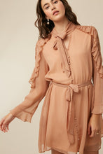Dusty Rose Tie Neck Ruffle Button down Chiffon Dress