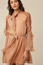 Dusty Rose Tie Neck Ruffle Button down Chiffon Dress