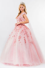Blush Floral Applique Glitter Quinceanera Ballgown