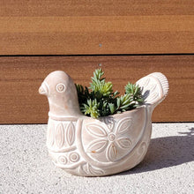 Planter Pot l Terracotta Pot - Spotted Dove