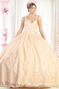Champagne Sleeveless Floral Embroidery Ballgown