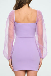 Lavender Mesh Long Sleeve Bodycon Mini Dress