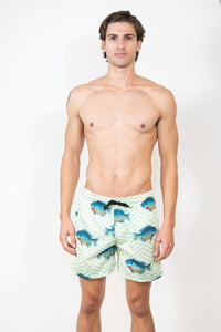 Mens Printed Swim Shorts