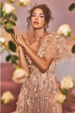 Blush Petal Embellished Ruffle Sleeve Gown