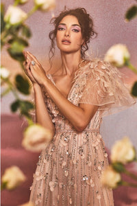 Blush Petal Embellished Ruffle Sleeve Gown