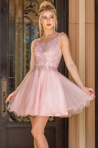 Blush Sleeveless Embellished Top Cocktail Dress