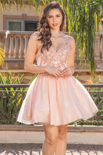 Blush Sequin Lace Embellished A Line Short Dress