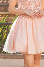 Blush Sequin Lace Embellished A Line Short Dress