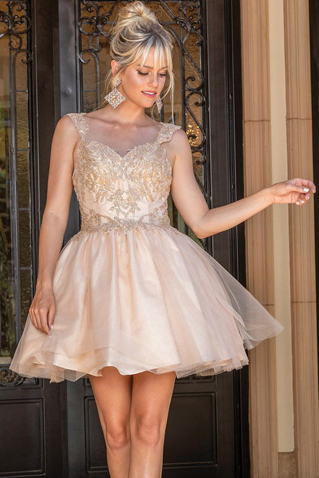 Peach Sequin Lace Embellished A Line Short Dress