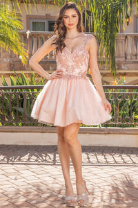 Blush Sequin Lace Embellished A Line Short Dress