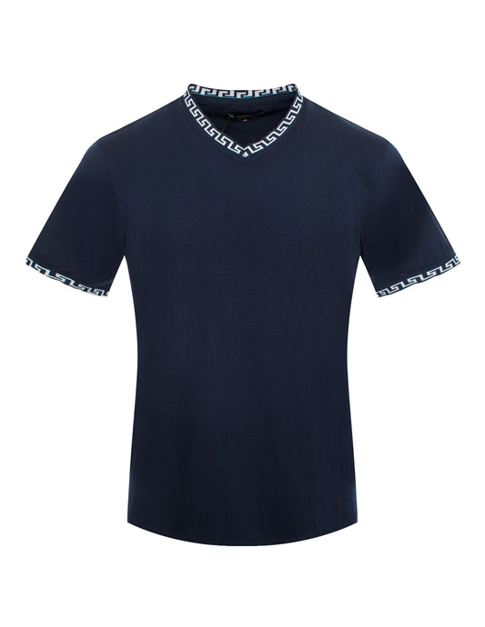 Navy Men's V-Neck T-Shirt