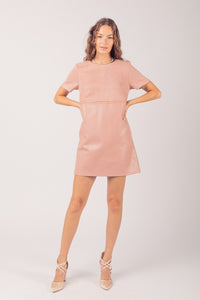 Blush Waist Embroidered Suede & Leather Mini Dress