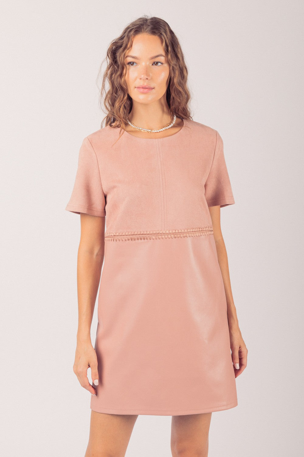 Blush Waist Embroidered Suede & Leather Mini Dress
