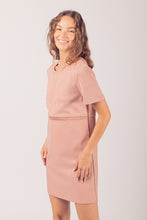 Blush Waist Embroidered Suede & Leather Mini Dress