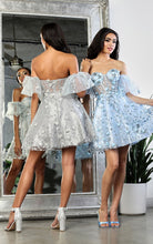 Baby Blue Embroidered Corset Tulle Short Dress