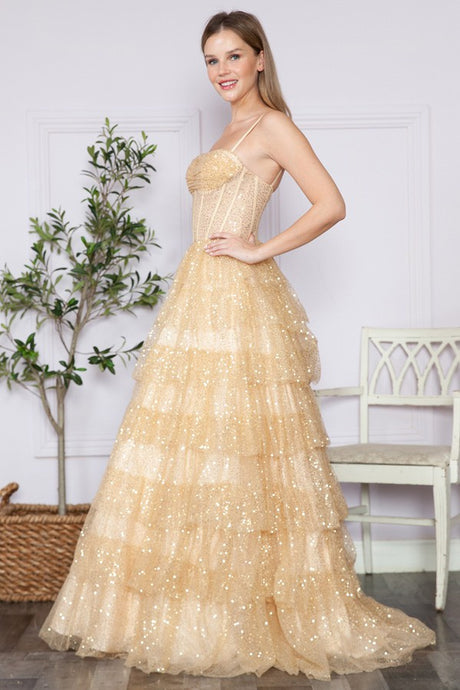 Champagne Bustier Top A Line Sparkle Dress