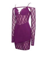Elsie Purple Lace Long Sleeve Mini Dress