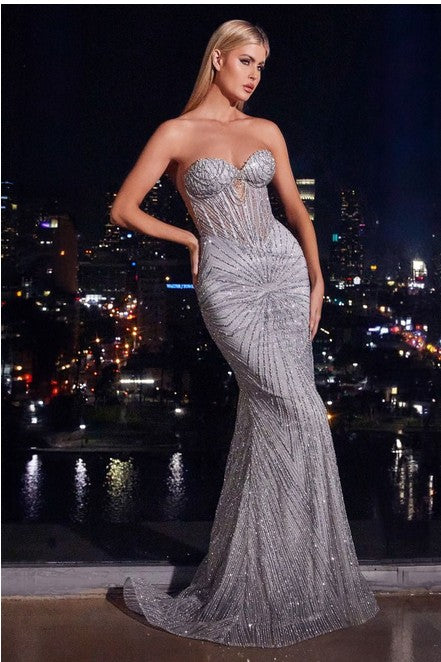 Silver Strapless Silver Embellished Gown