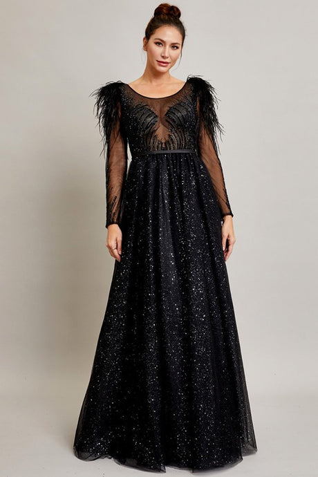 Black Sheer Long Sleeve Bateau Neckline Glitter A Line Dress