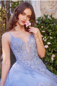Blue Lace Appliqued A-Line Layered Tulle Gown