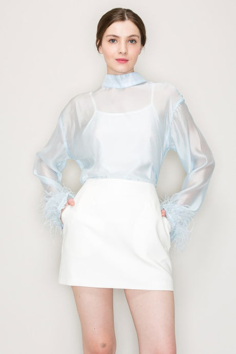 Ice Blue High Neck Long Sleeve Sheer Feather Trimmed Blouse