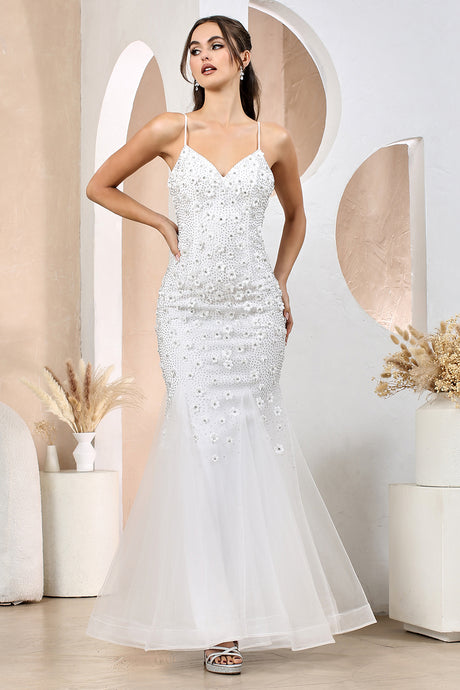 Off White Lace Embroidered Tulle Embroidered Evening Gown