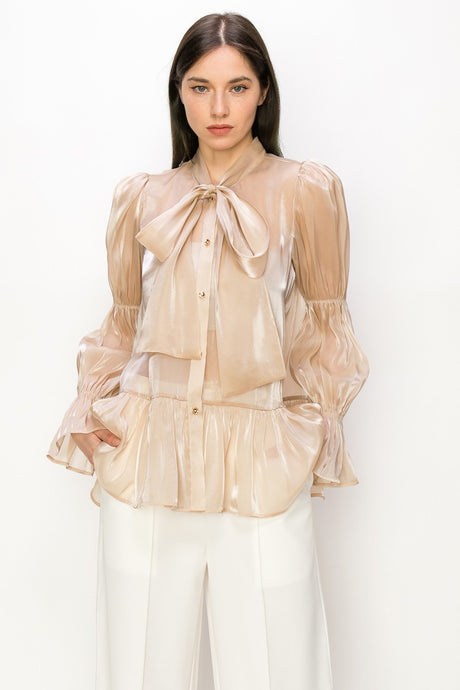 Champagne Shimmer Long Sleeve Neck Ribbon Button Down Top