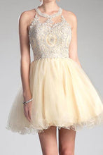 Champagne Queen Tulle Short Dress