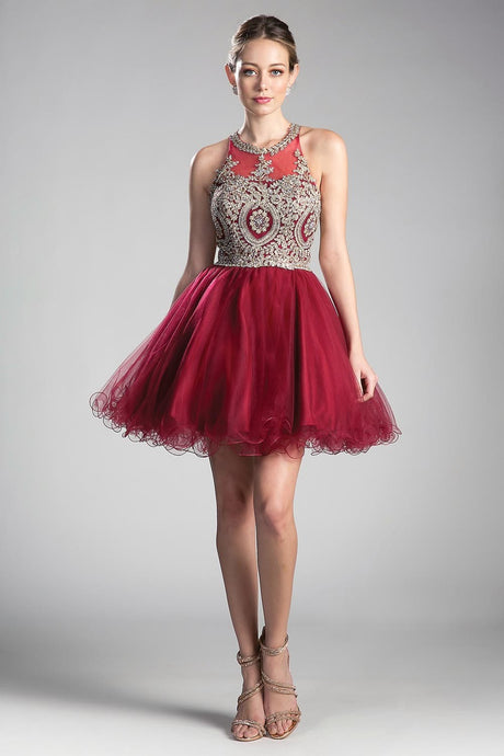 Burgundy/Gold Queen Tulle Short Dress