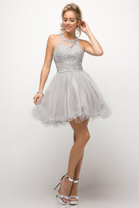 Silver Queen Tulle Short Dress
