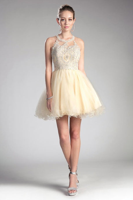 Champagne Queen Tulle Short Dress