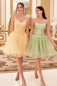Champagne Gold Pleated A-Line Short Dress