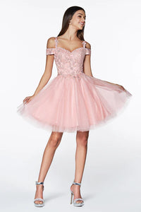 Blush Off The Shoulder Lace Cocktail Dress