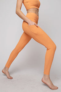 Sherbert Plus Size Nylon Rib Yoga Leggings With Side Pocket