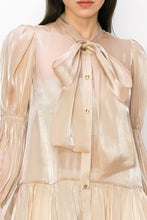 Champagne Shimmer Long Sleeve Neck Ribbon Button Down Top