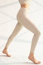 Seashell Plus Size Nylon Rib Yoga Leggings With Side Pocket