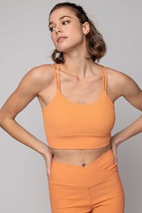 Sherbert Plus Size Nylon Rib Sports Bra